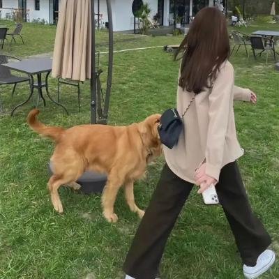 说出你的愿望
